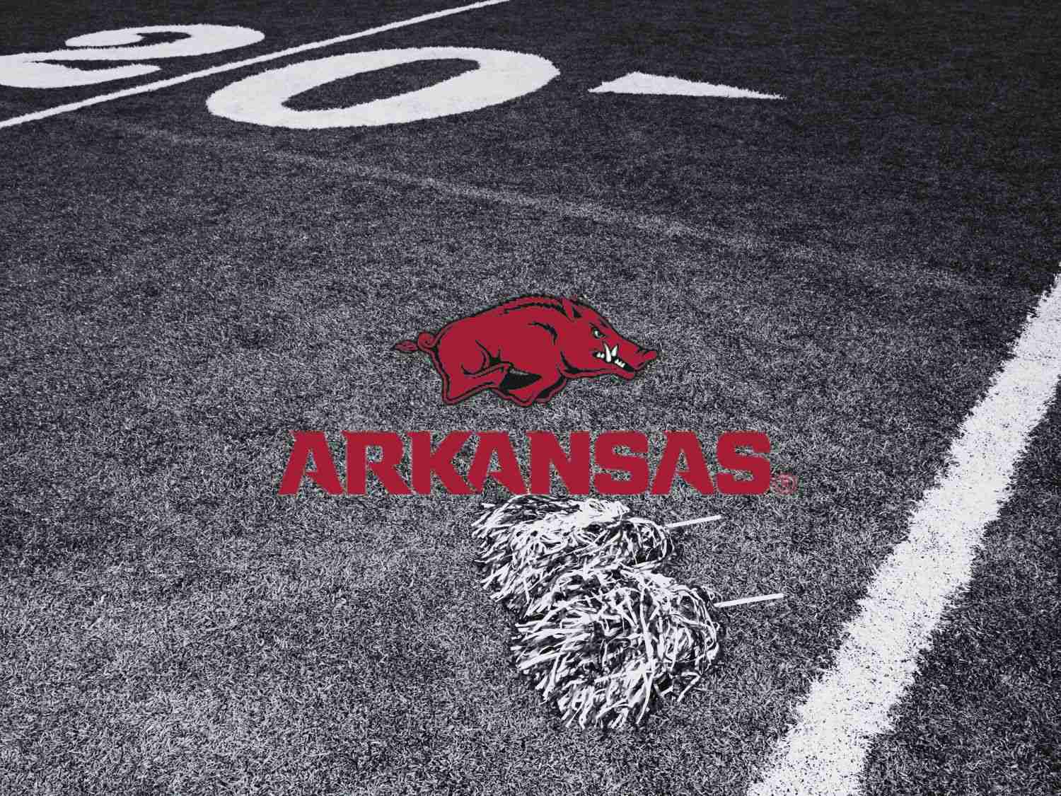 Arkansas Razorbacks Tickets and Seats